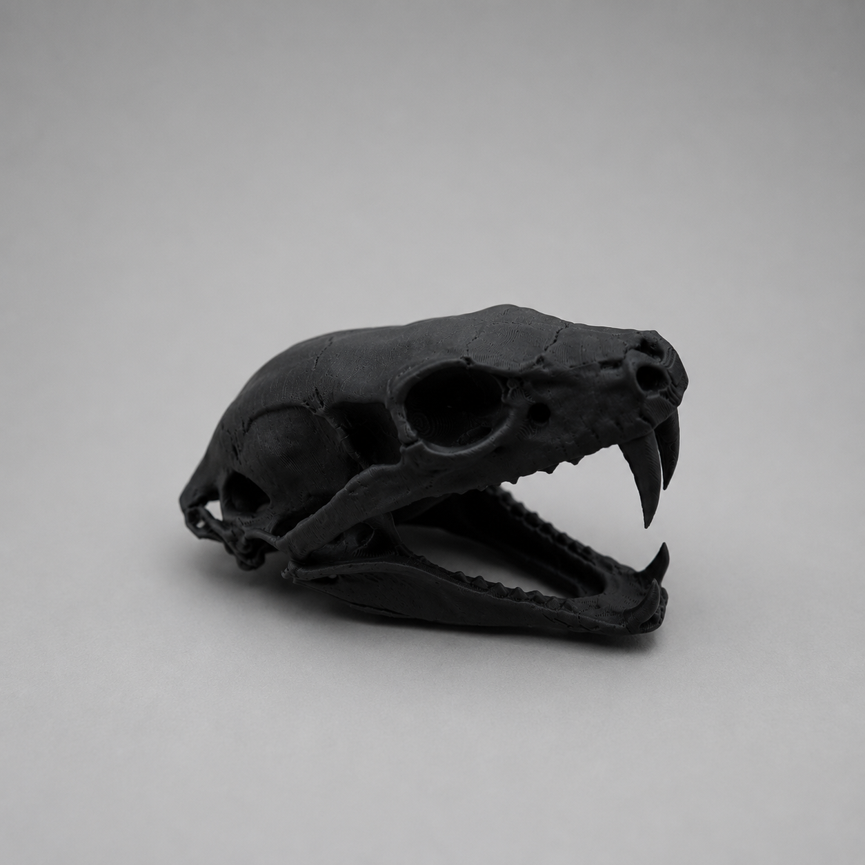 Cobra Skull Replica — Snake Skull Decoration