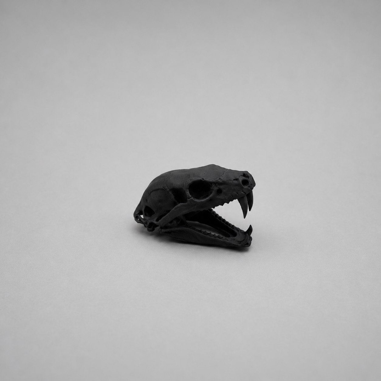 Cobra Skull Replica — Snake Skull Decoration