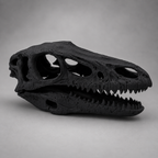 Velociraptor skull replica in black