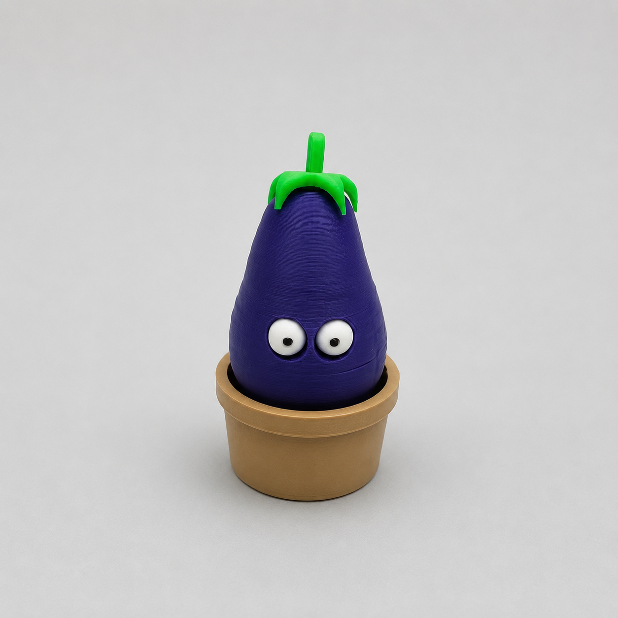 Pop-Eyed Aubergine Plant Pot