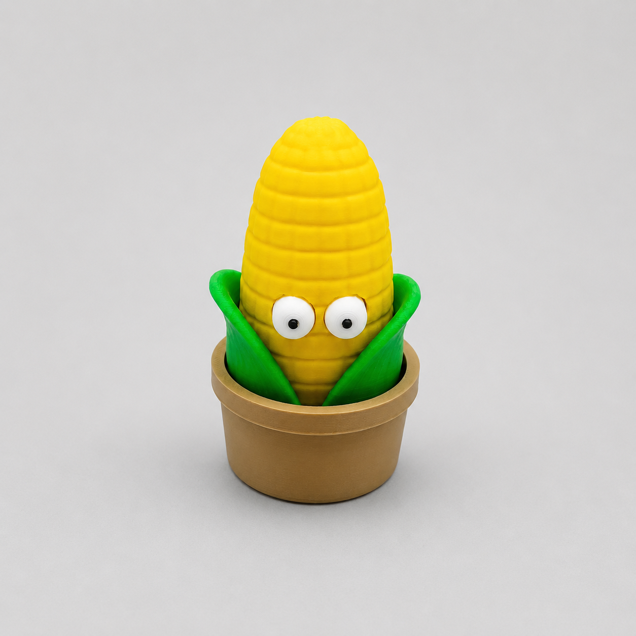 Pop-Eyed Corn Plant Pot