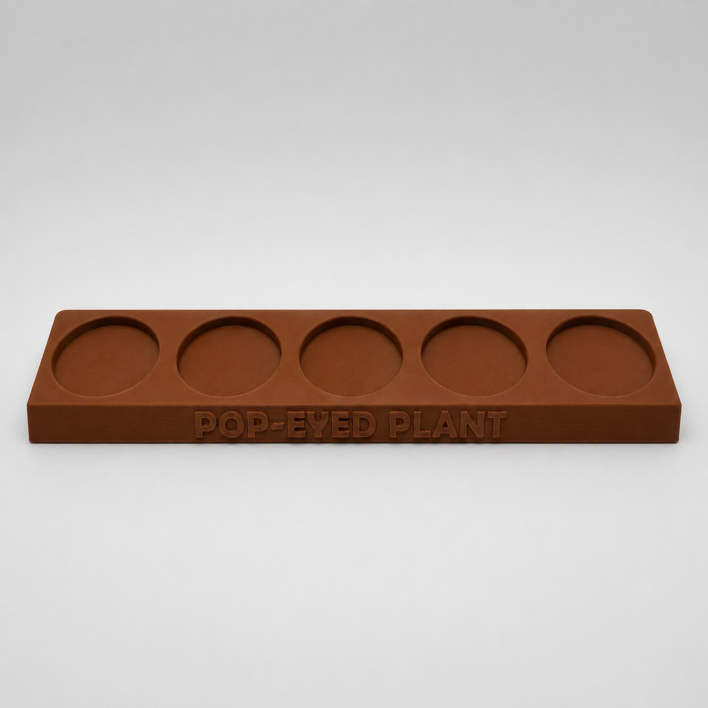 Pop-Eyed Plant Display Tray