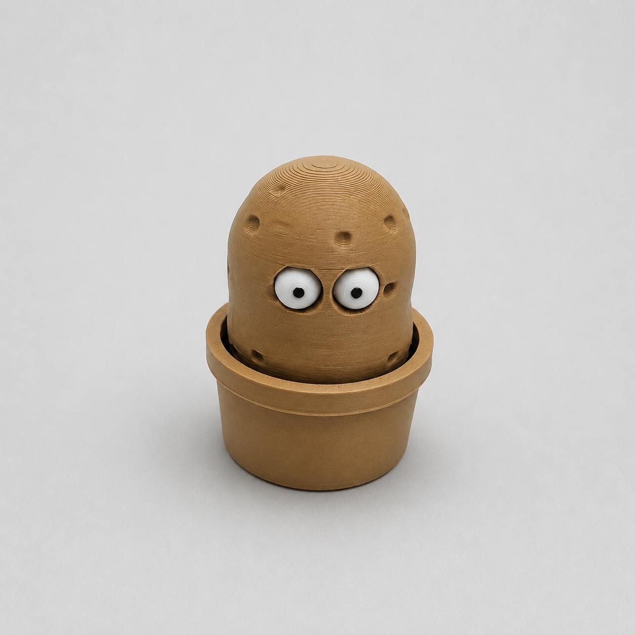 Pop-Eyed Potato Plant Pot